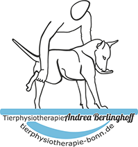 berlinghoff logo 2015 02